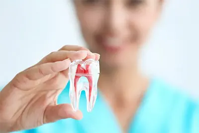 Endodontia em Guarulhos